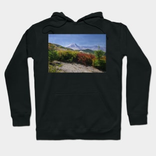 850_2284 Hoodie